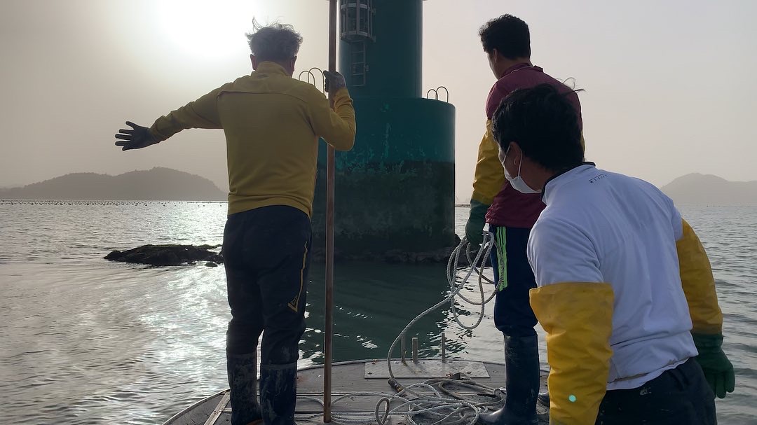 Future School Food Foraging